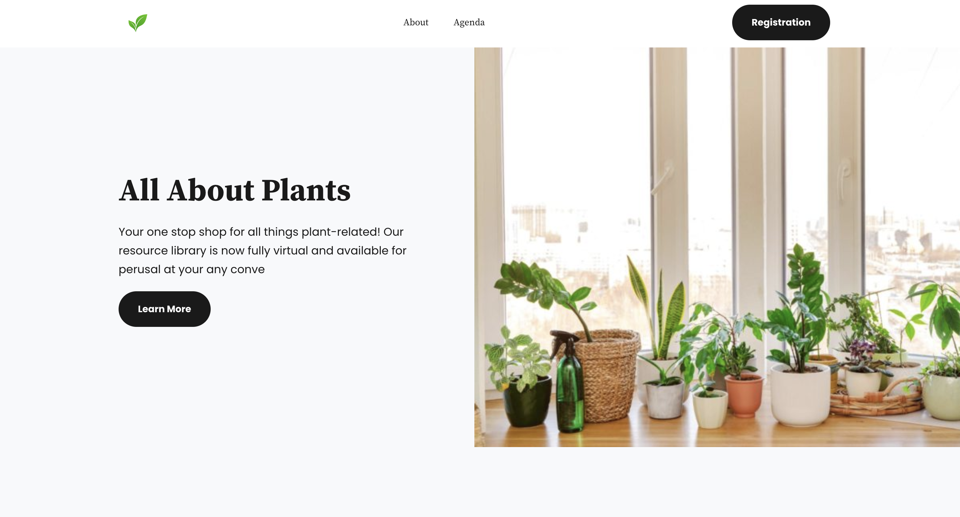 Screen_Shot_2023-05-25_at_2.29.32_PM.png